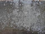 image of grave number 172450